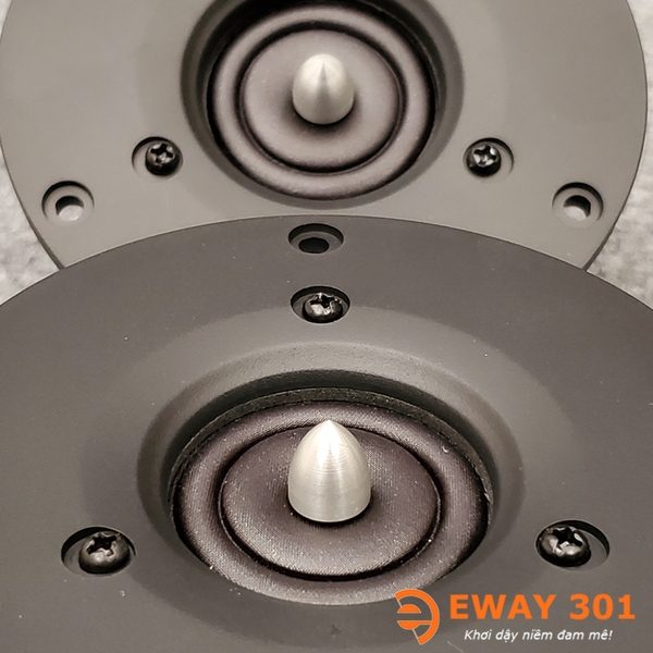 Cặp Loa Treble WT-A800