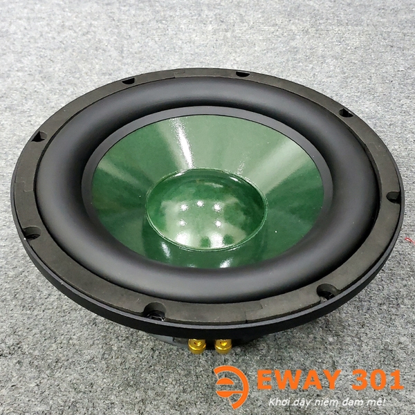 Cặp Loa Bass 25 P8825 Chính Hãng