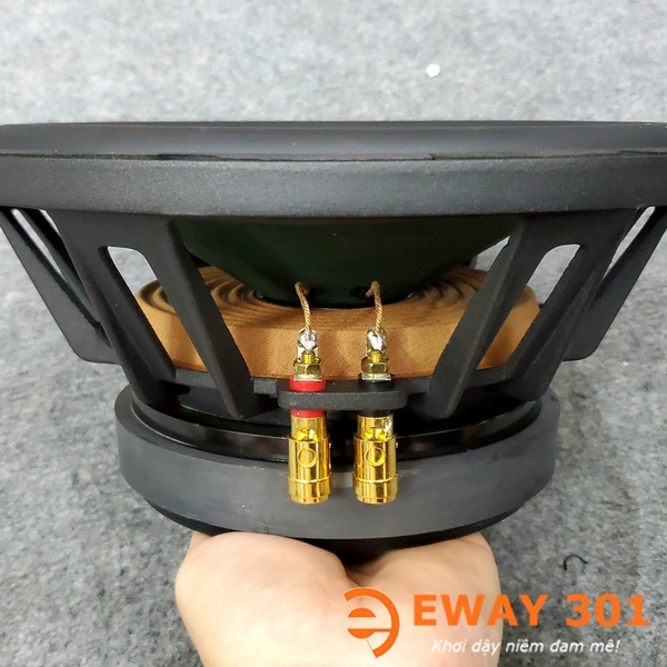 Cặp Loa Bass 25 P8825 Chính Hãng