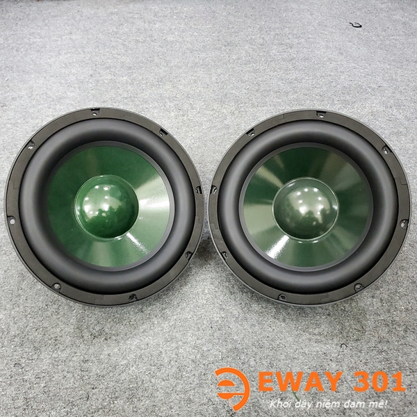 Cặp Loa Bass 25 P8825 Chính Hãng