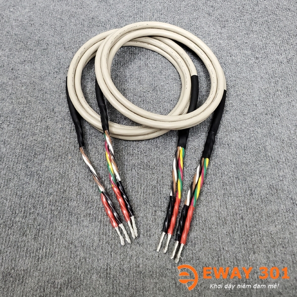 Bộ Dây Loa Proterial Bãi Nhật Bản 6 Lõi Đồng Mạ Bạc - Bộ 2m