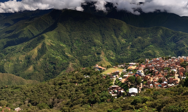 Malongo Bolivia