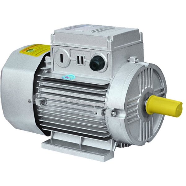 Động Cơ Điện Toàn Phát 30Kw 380V 1490 Vòng/Phút