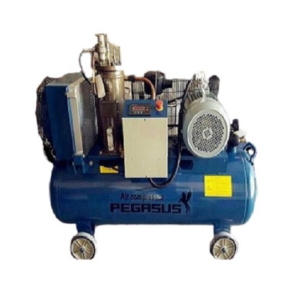 Máy Nén Khí Trục Vít Pegasus 11Kw TMTV-15A