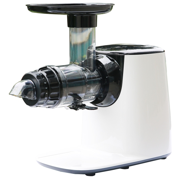 99gd2090-may-ep-cham-trai-cay-benny-bsj-250w-250w