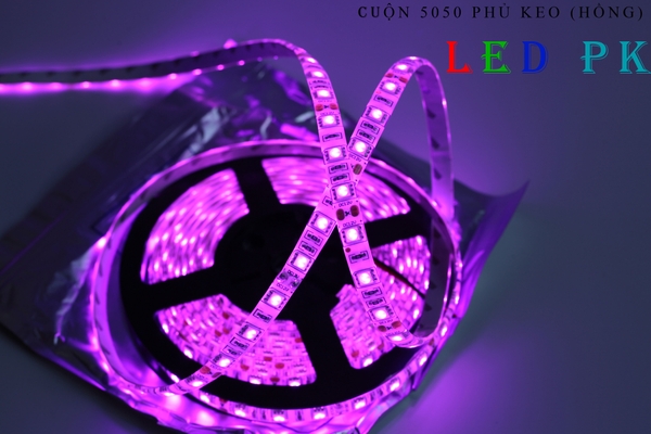 Led Dây 5050 Cuộn 5M