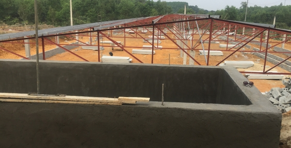 XÂY DỰNG CHUỒNG NUÔI TRÙN QUẾ