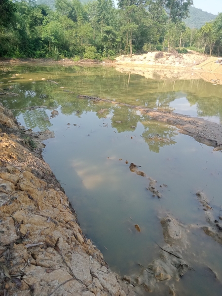 MÙA HÈ VÀ NƯỚC CHO HEO