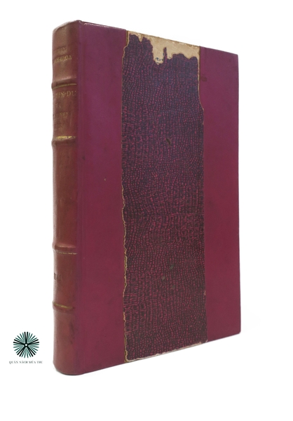 NGUYỄN DU VÀ TRUYỆN KIỀU