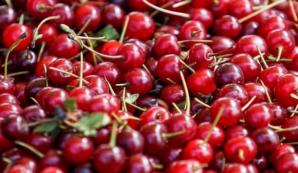 Cherry Trung Quốc giá rẻ tràn ngập thị trường Việt Nam