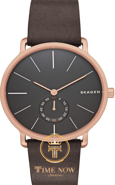Skagen skw6213 sales