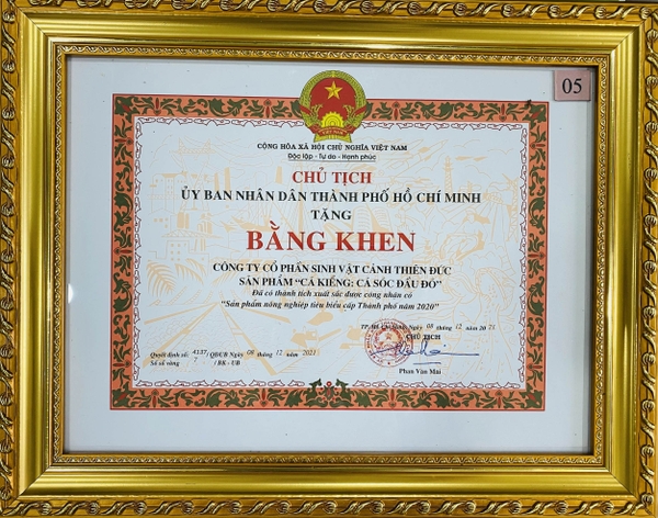 cua hang thuy sinh tphcm