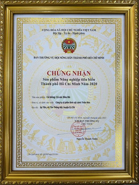 cua hang thuy sinh tot nhat