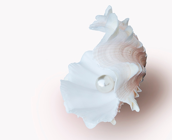 Chiết xuất từ Ngọc Trai Chiết xuất từ Ngọc Trai