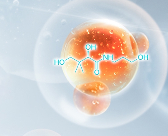 Pro-Vitamin B5 Pro-Vitamin B5