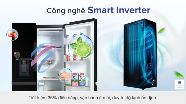 Tủ lạnh LG Inverter 635 Lít GR-D257WB