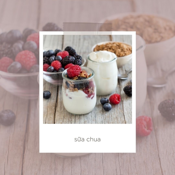 Sữa chua Hy Lạp - Greek Yogurt