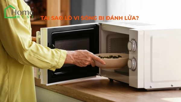 Tại sao lò vi sóng bị đánh lửa?
