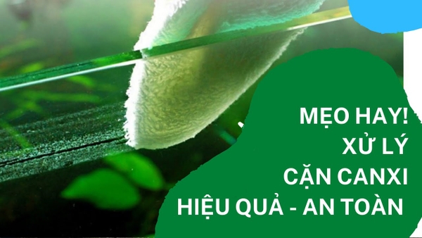 8 cách xử lý cặn Canxi đơn giản hiệu quả.
