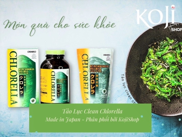 Tảo Lục Clean Chlorella Nhật Bản