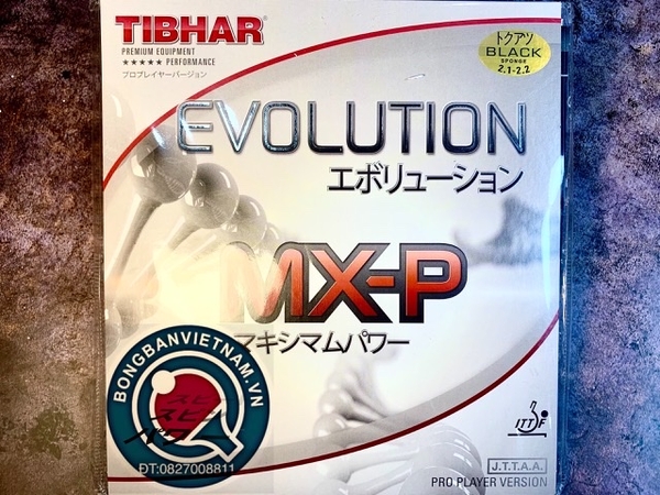 TIBHAR Evolution MX-P