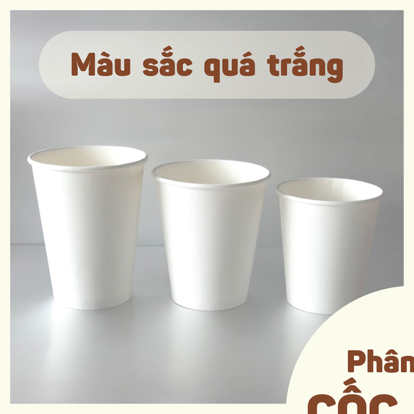 cách nhận diện cốc giấy kém chất lượng, cốc giấy, ly giấy, vietcup 1