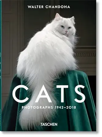 Walter Chandoha. Cats. Photographs 1942–2018