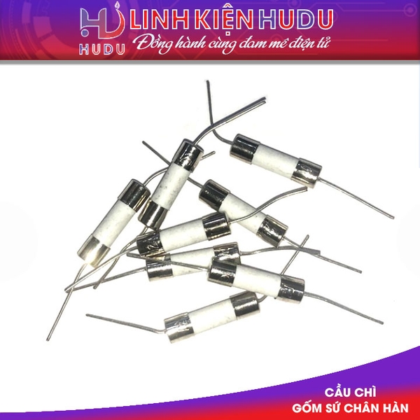 Cầu chì gốm [ sứ ] 30A chân hàn