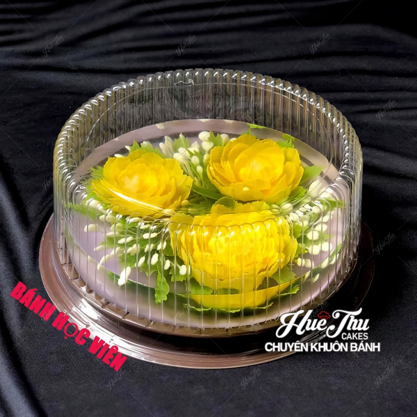 Hộp đựng bánh tròn 20cm đế đen A024 (10 hộp)