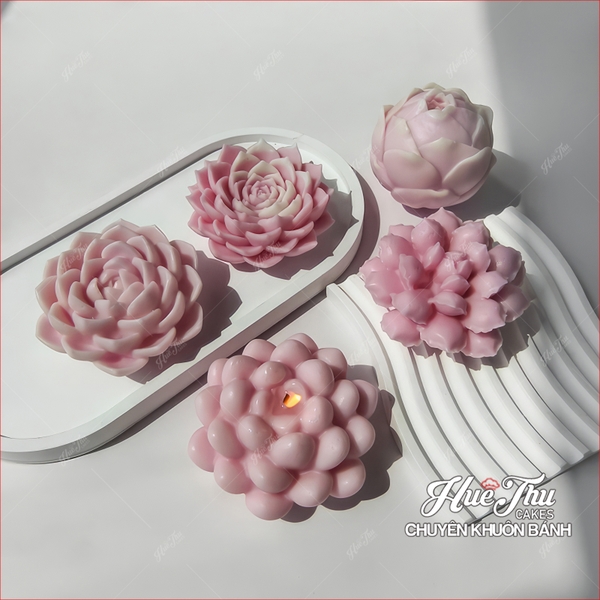 Bộ 7 khuôn silicon Xương Rồng Sen Đá 107 làm bánh rau câu 3D 4D nhấn xôi, fondant, socola, nến hanmade
