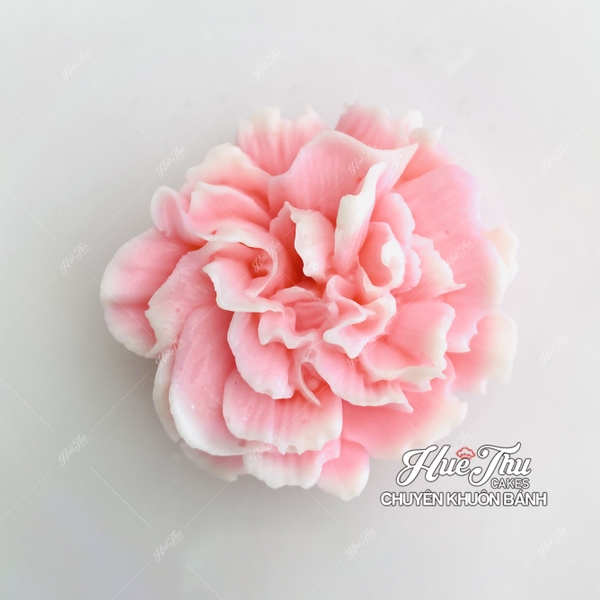 Khuôn silicon Hoa Cẩm Chướng A171 làm bánh rau câu 3D 4D nhấn xôi, fondant, socola, nến hanmade