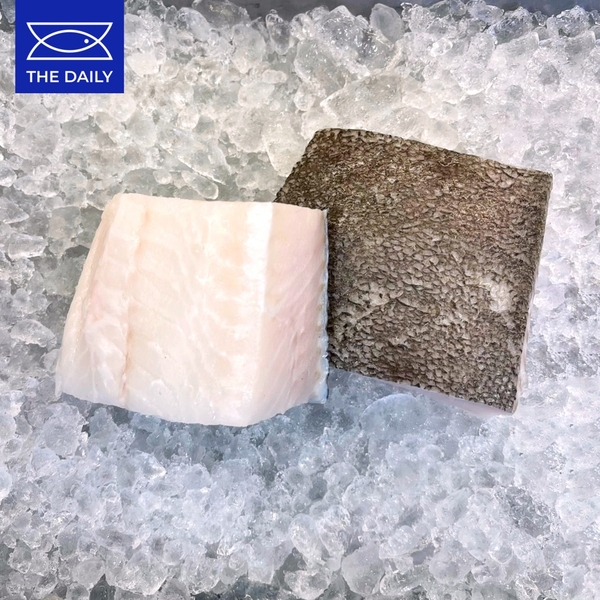 FILLET CÁ BƠN HALIBUT CANADA ĐÔNG LẠNH