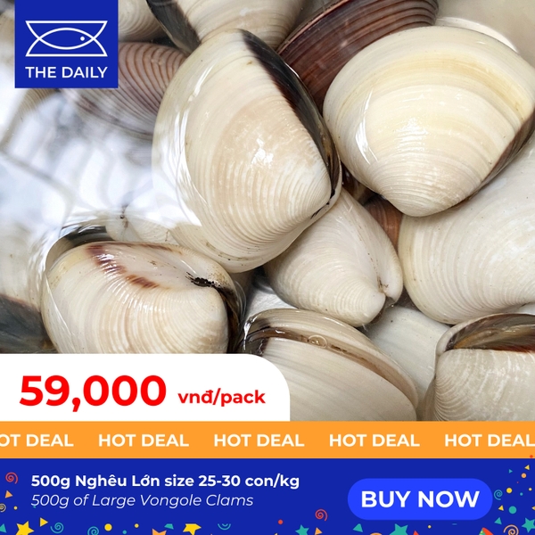 SET NGHÊU LỚN SIZE 25-30 CON/KG (500G)