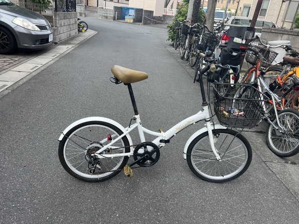 Xe đạp thường PVN1242