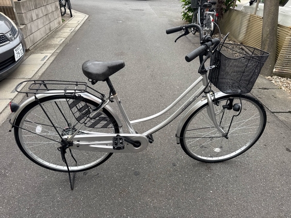 xe đạp thường PVN1124