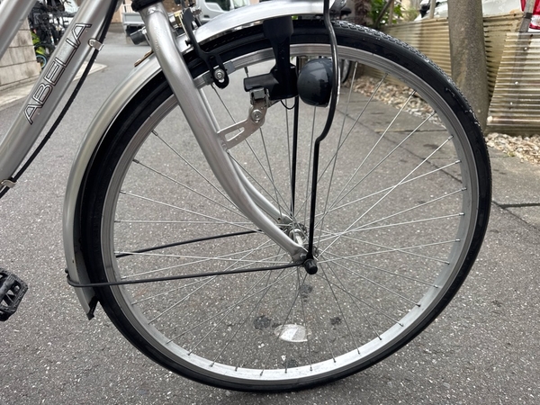 xe đạp thường PVN1124