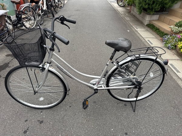 xe đạp thường PVN1124