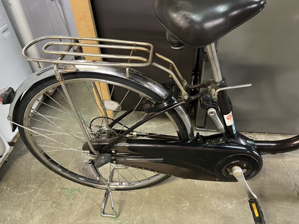 xe đạp trợ lực PVN966