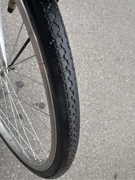 xe đạp thường PVN1124