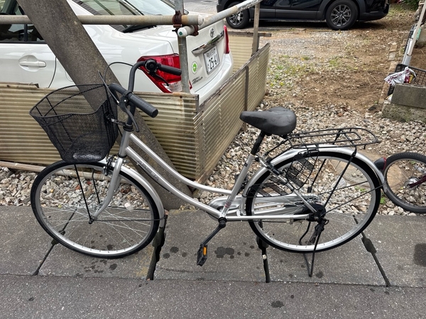 xe đạp thường PVN1124