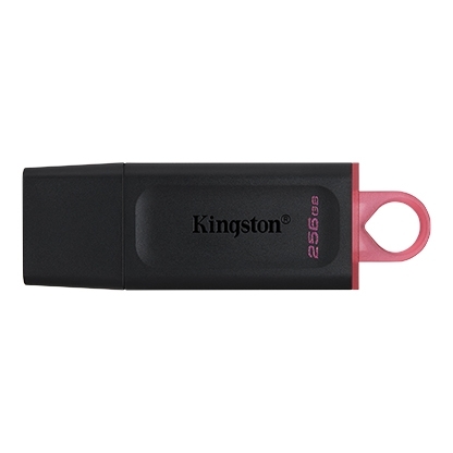 USB Kingston DataTraveler Exodia 256GB USB 3.2 (DTX/256GB)