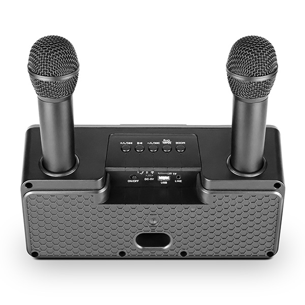 Loa Bluetooth Microlab KTV100 (Karaoke, kèm 2 mic không dây)