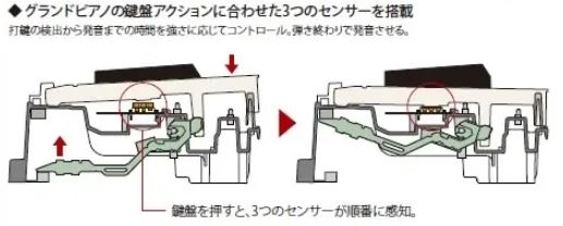 Piano điện Casio PX-1500GP