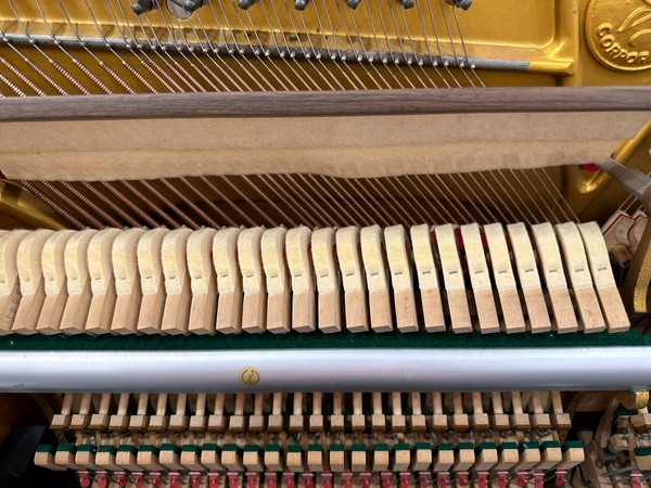 Bộ máy đàn piano Tonica TU1