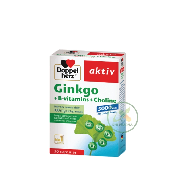 Aktiv Ginkgo + Vitamin B + Choline hỗ trợ tăng tuần hoàn não, tăng cường trí nhớ