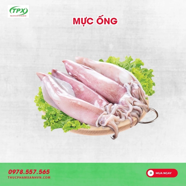 MỰC ỐNG 3-4 CON