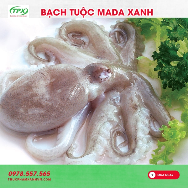 BẠCH TUỘC MADA XANH SIZE 1KG