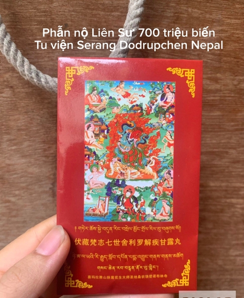 Pháp dược Phẫn nộ liên sư gia trì 700 triệu biến, tu viện Serang Dodrupchen Nepal