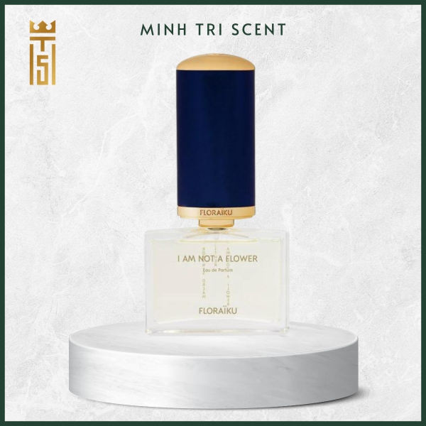 hinh-web-1200-x-1200-px-21-