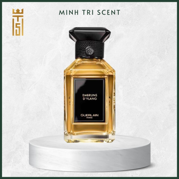 hinh-web-1200-x-1200-px-37-